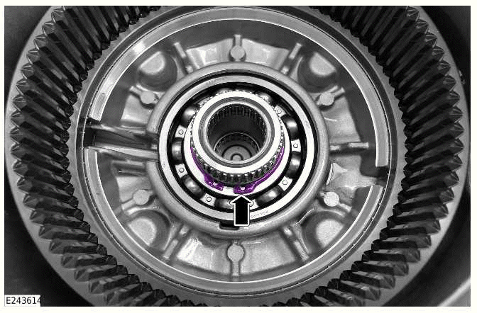 Transfer Case Front Output Shaft Bearing